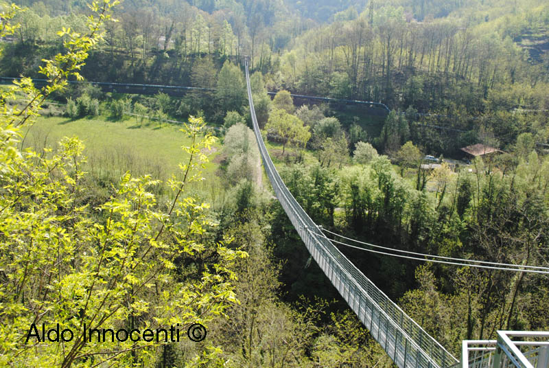 PONTE SOSPESO: 8’ IMMAGINE